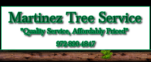 Martinez Tree Service #1 - Tree Services Lawn & Landscaping Plano Texas North Dallas