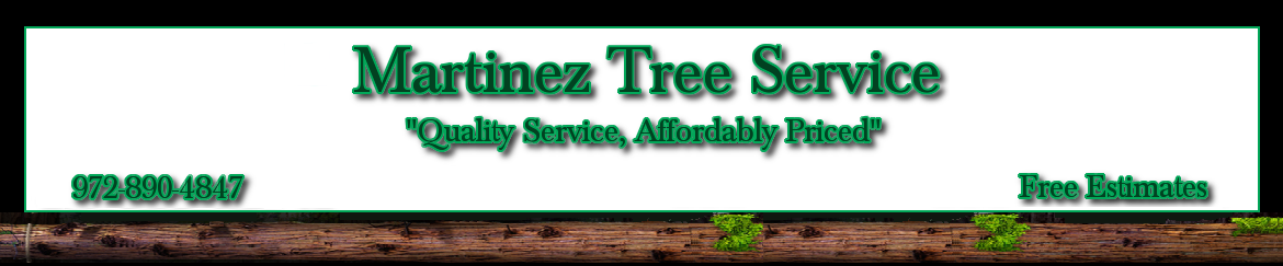 Martinez Tree Service #1 - Tree Services Lawn & Landscaping Frisco Texas North Dallas